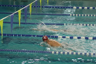 爱游戏官网-全国青少年游泳锦标赛青春风采尽展，全国青少年游泳比赛成绩