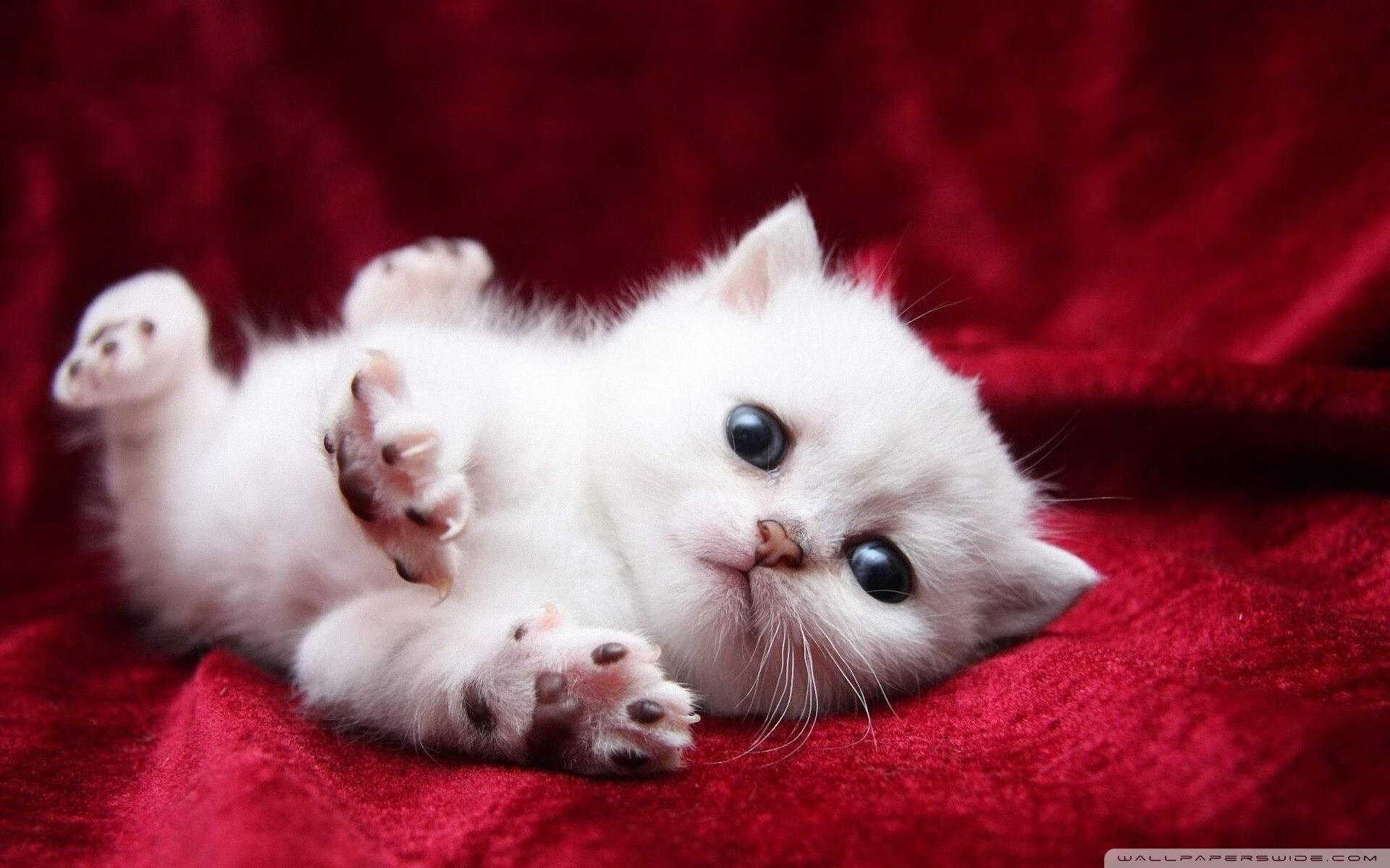 校园体育场馆智能化管理方案研究，体育场馆智能化文献综述